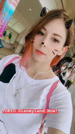 ディズニーシーに行きました！の記事動画