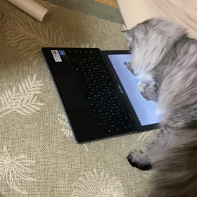 まさかの…の画像