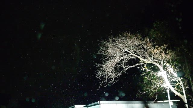 アレレの記事動画