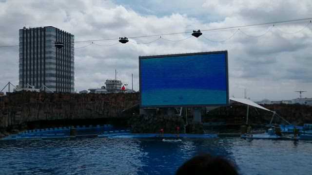 キャラ活 / 水族館の記事動画