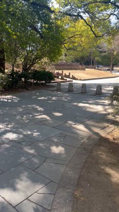②練馬区レポ*\(^o^)/*第２弾☆丸太の公園満喫❗️の記事動画