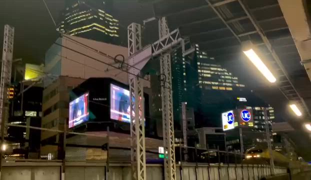 2024/11/14の記事動画