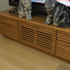 いじわる？の画像