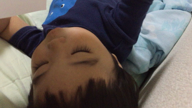 ことば記録（2歳1ヶ月）の記事動画
