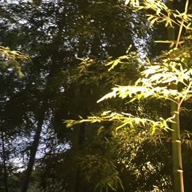 eternally〜癒しの音の画像