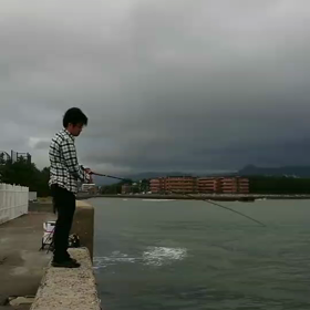 ルアーキャスト　サゴシ釣りの画像