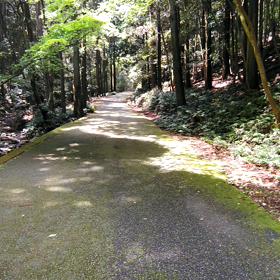 天の岩戸で癒されての画像