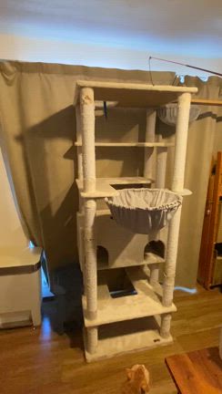 登り方のクセ！！の記事動画