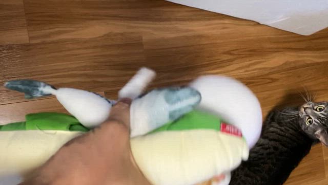 どれにしようかな？の記事動画