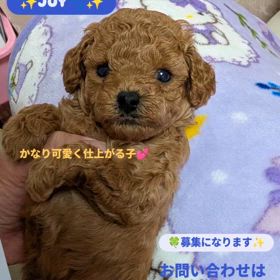 2024/11/23の画像