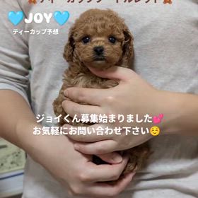 2024/11/29の画像