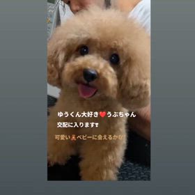 2024/11/29の画像