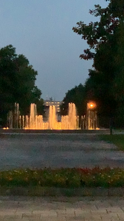 プロフェッショナルな人の記事動画