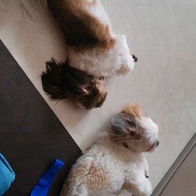 イチャイチャ②の画像