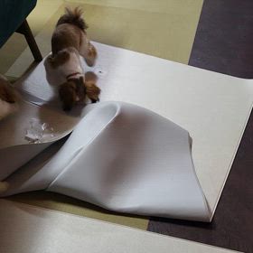 怪獣たちの破壊その③の画像