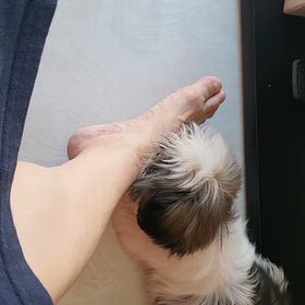 あまがみの画像