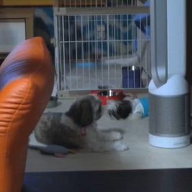 遊ぼう!の画像