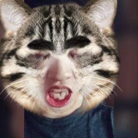 YouTubeの画像