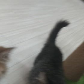 近所の人に怒られた翌日の話の画像