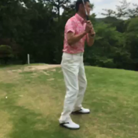 やっぱり脳みその画像