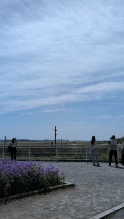 千葉県成田市☆側高神社～成田市さくらの山～peachでCTSの記事動画