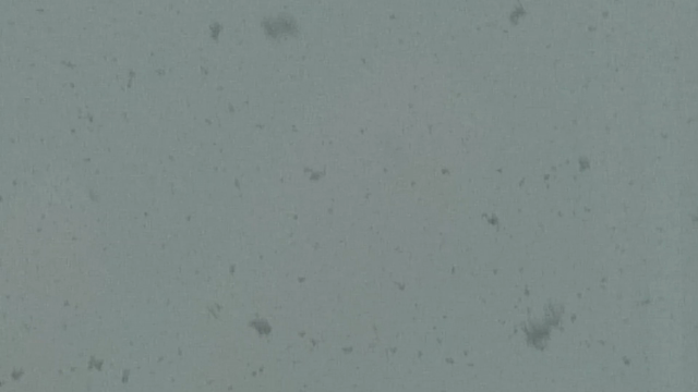 なごり雪の記事動画