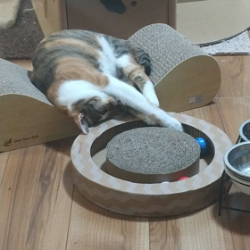 華ちゃん（姐さん）の画像