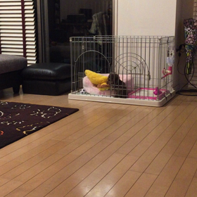 ようこそ我が家への画像