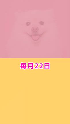 【募集中】4月22日 プレゼントヒーリング【ご感想②】の記事動画