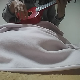 おうちで過ごそう♪ハナミズキ♪♪♪の画像