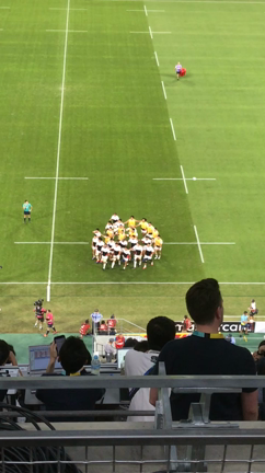 ラグビー日本代表勝利！の記事動画