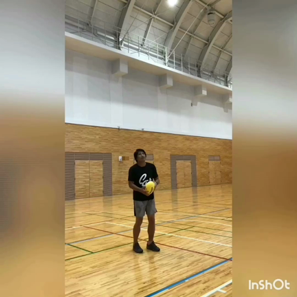 ひとりボールパークの記事動画