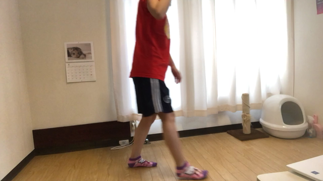 ツイキャスやります♪の記事動画