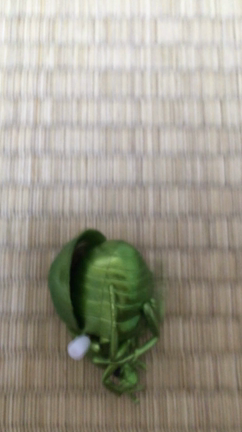 時が止まってましたね……の記事動画
