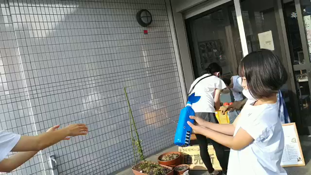 あたたかいマルシェの記事動画