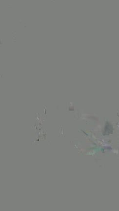 【2025⇨2026】大晦日&年越しは静岡へ！の記事動画