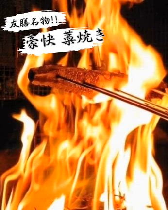 今日の魚️の記事動画