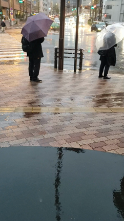 ばずりんこの記事動画