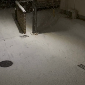 雪の画像