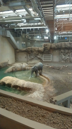 円山動物園2の記事動画