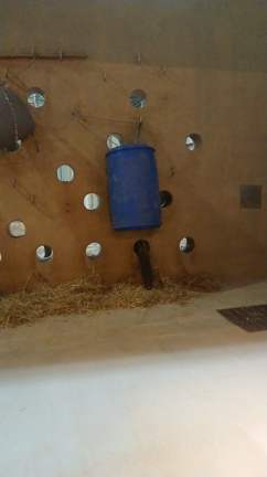 円山動物園2の記事動画
