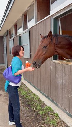 【北海道旅行記①】にいかっぷホロシリ乗馬クラブで乗馬！の記事動画
