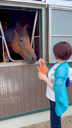 【北海道旅行記①】にいかっぷホロシリ乗馬クラブで乗馬！の記事動画