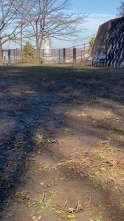 ショウ様の記事動画