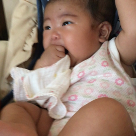 ブーブーゆうとりますけどもの画像