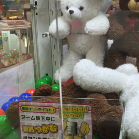 為了蓮の画像