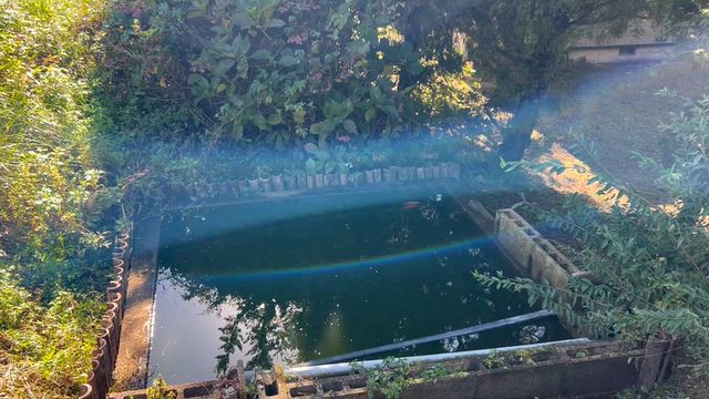味噌出来ました〜！の記事動画