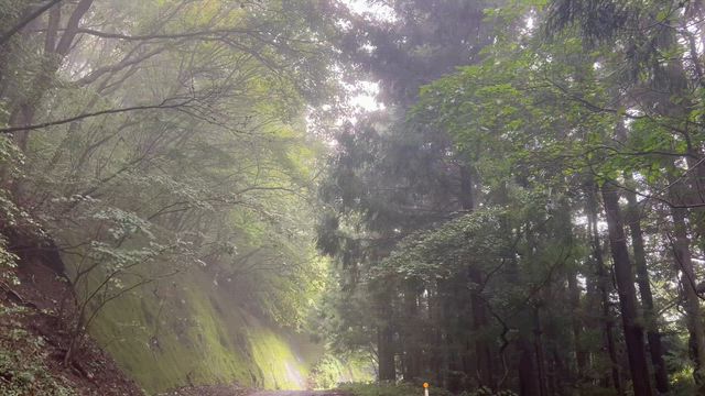 9月、しっとり。　天然石のパワーチャージ⭐︎の記事動画