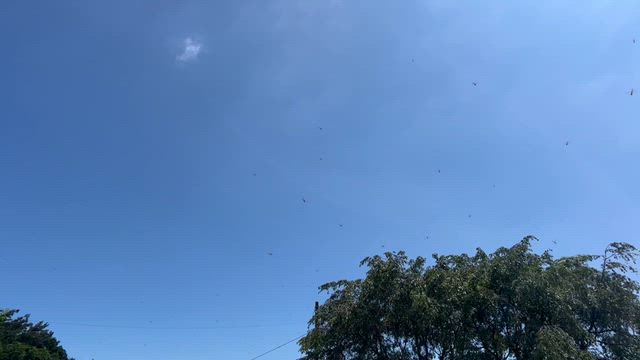 太陽のテーマ　リーディング募集のお知らせの記事動画