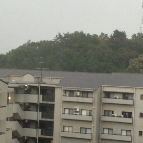 台風１６号 最接近！の画像